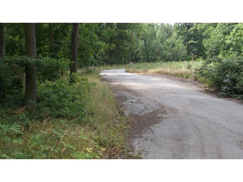 Foto 18
